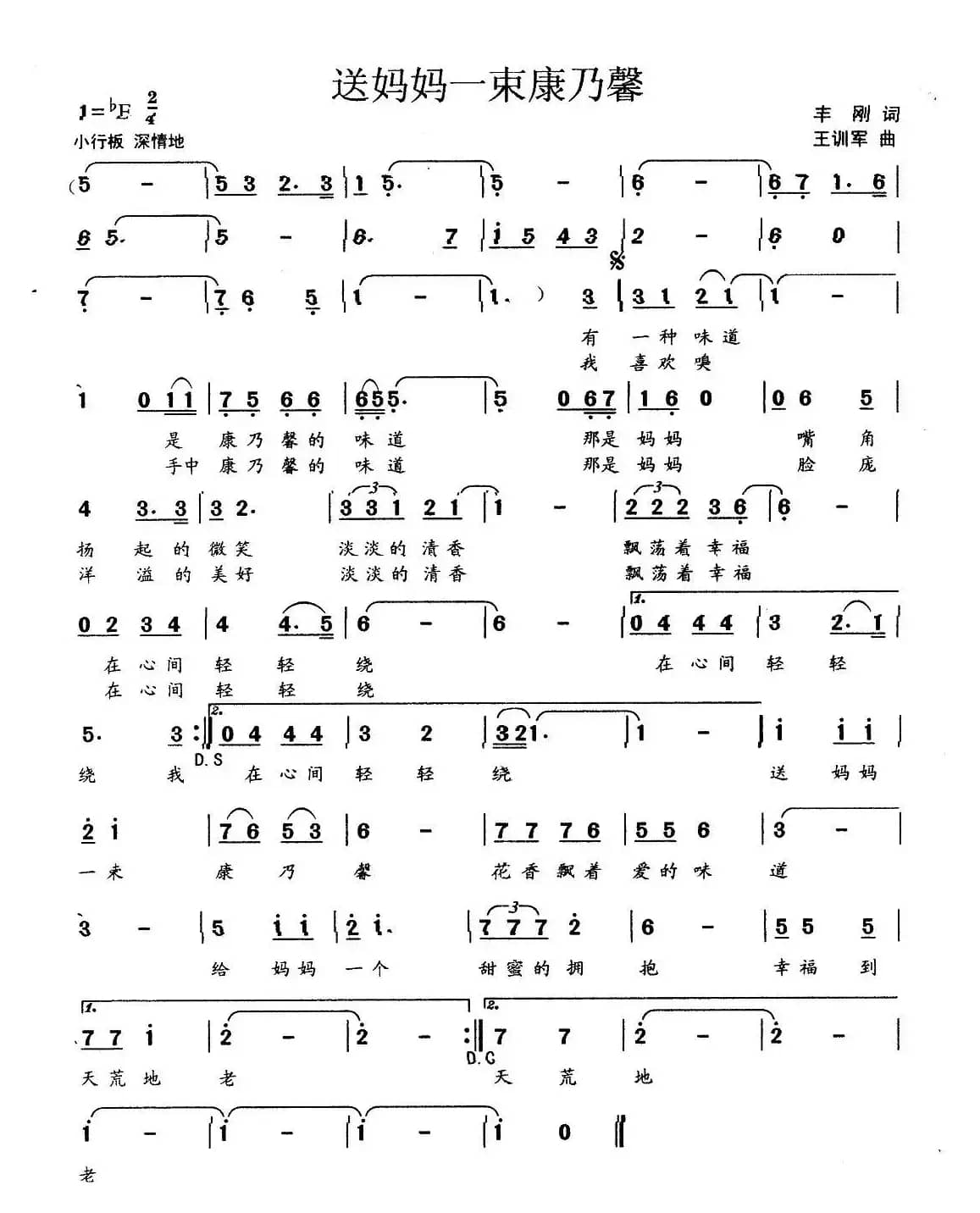 送妈妈一束康乃馨