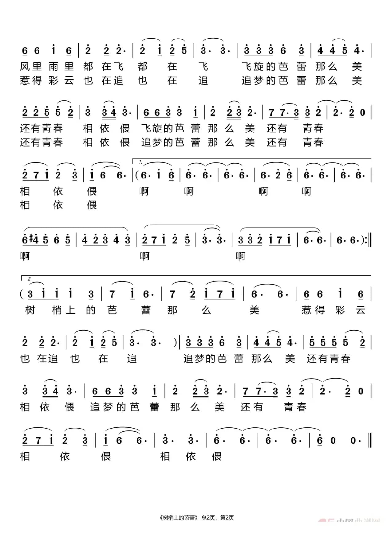 树梢上的芭蕾（初瑞）