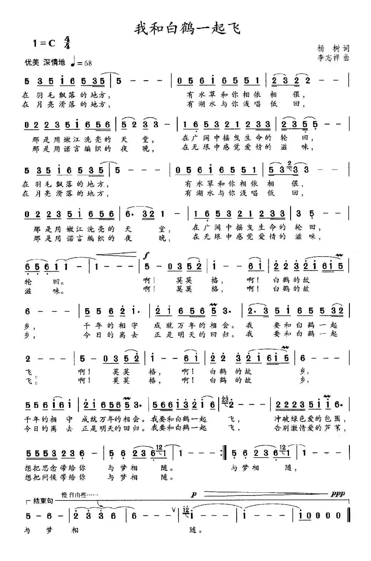 我和白鹤一起飞