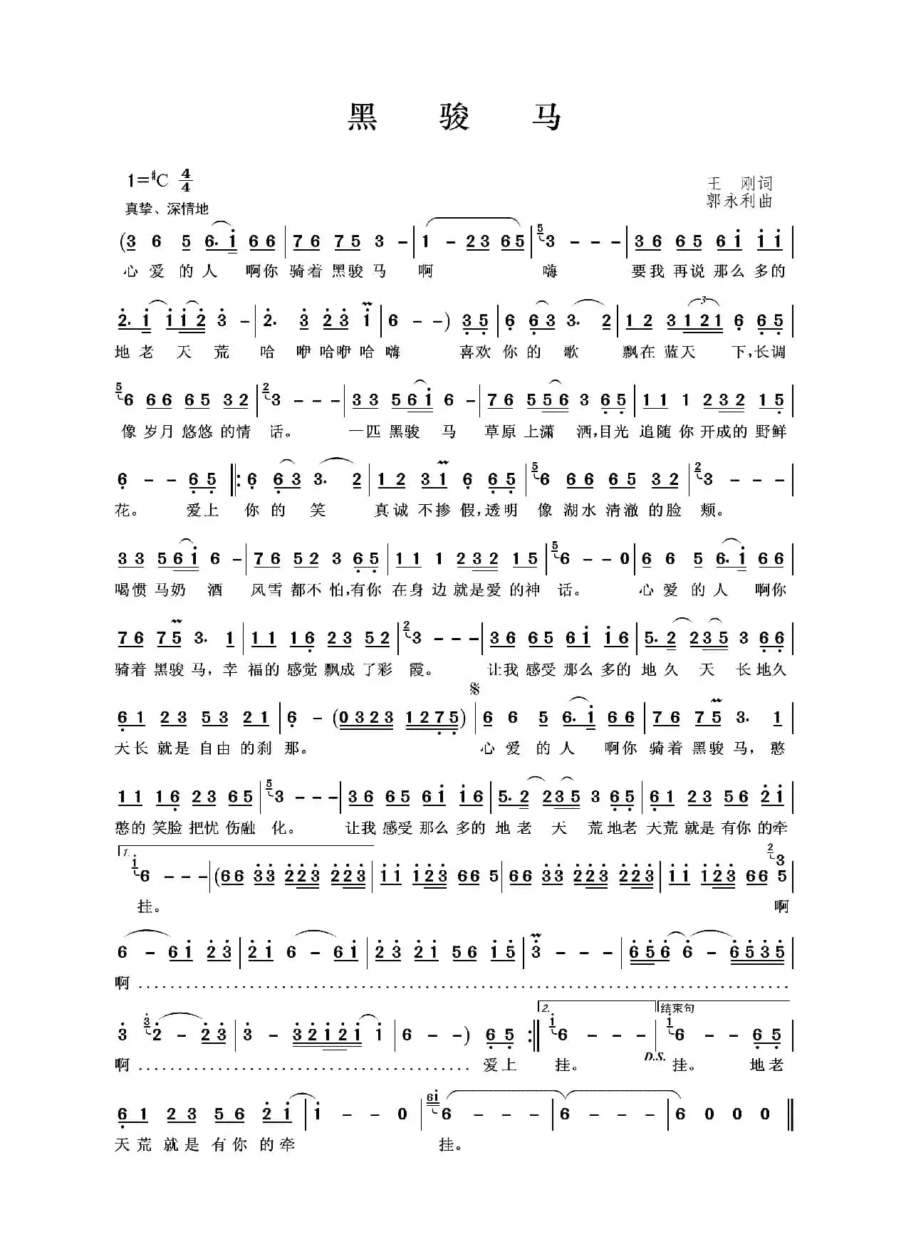 黑骏马（王刚词 郭永利曲）