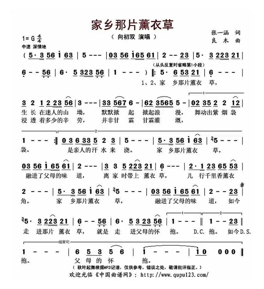 家乡那片薰衣草