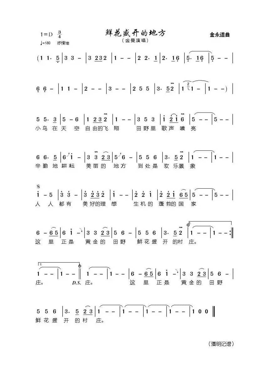 鲜花盛开的地方