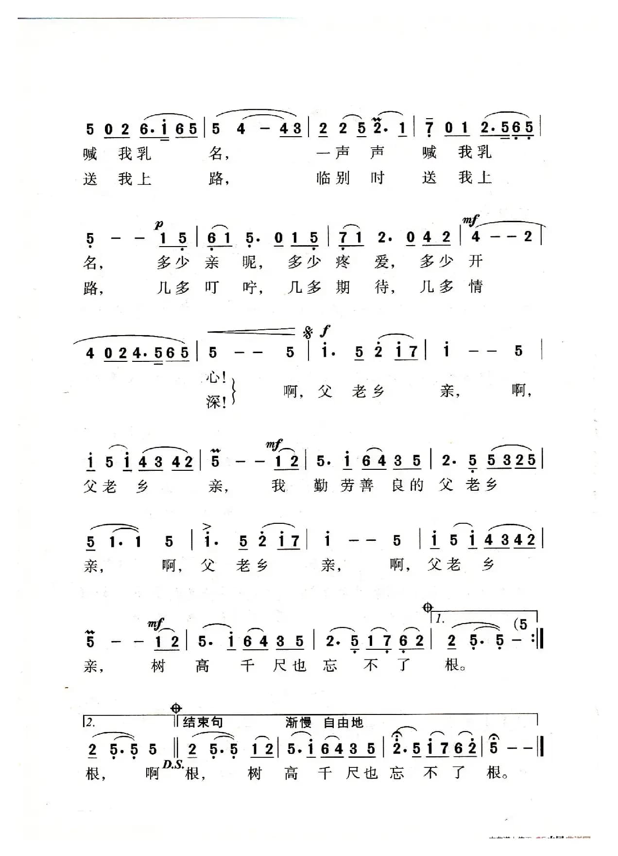 父老乡亲（老人适用）