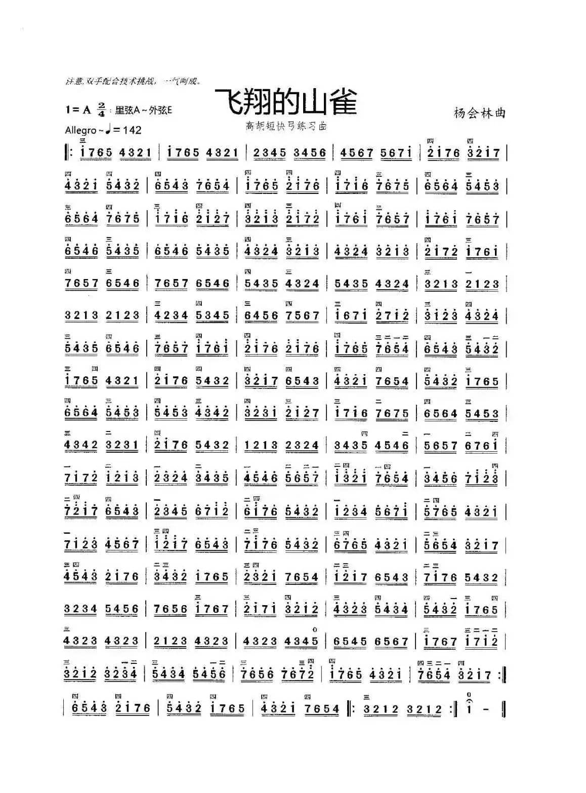 飞翔的山雀（二胡短快弓练习曲）