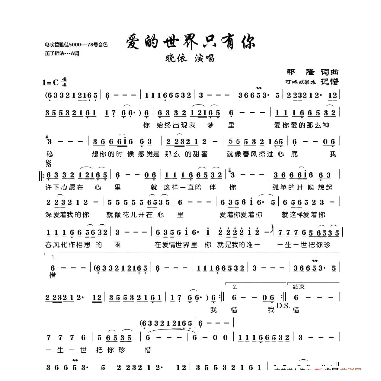 爱的世界只有你（电吹管）