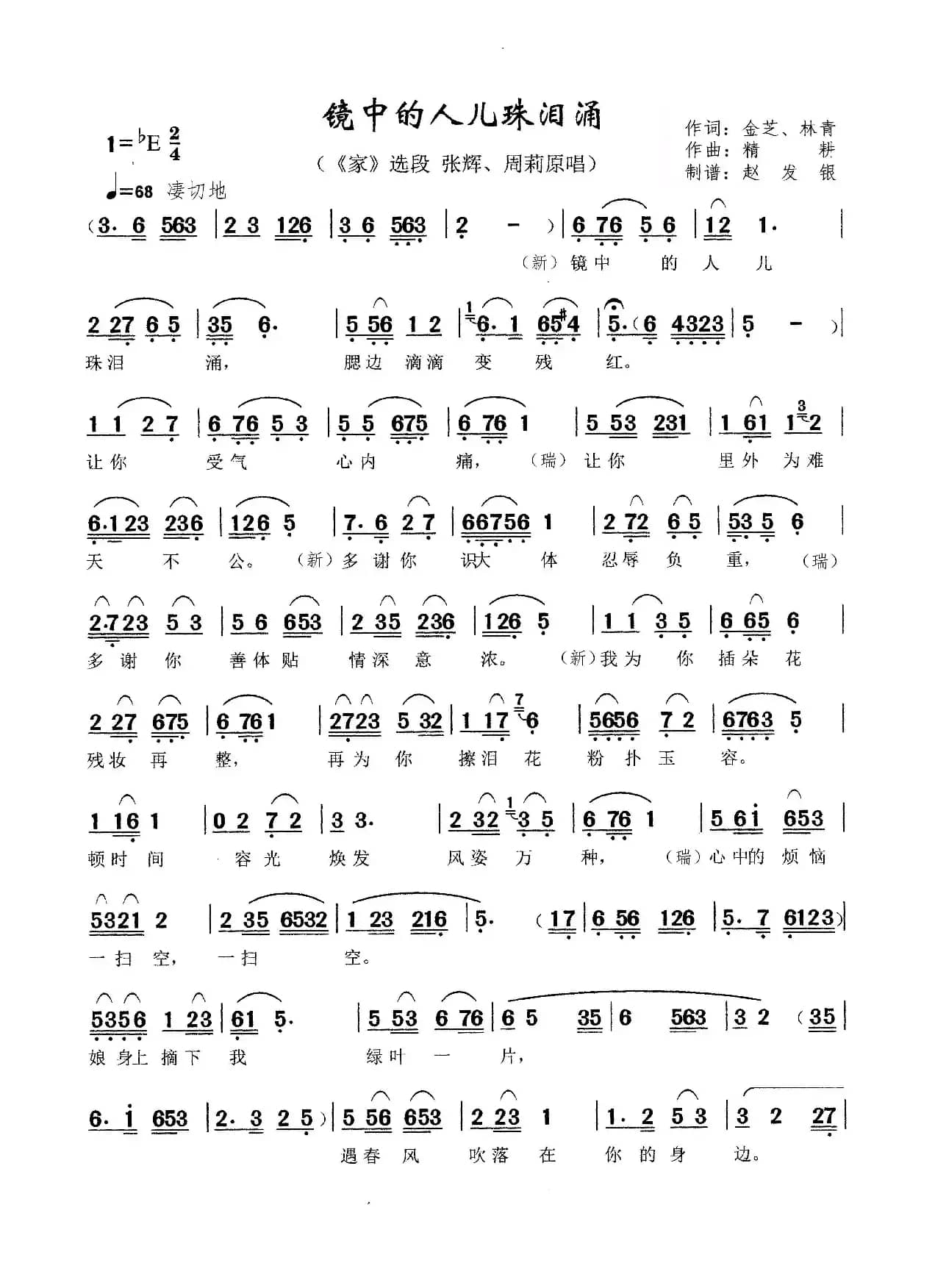 镜中的人儿珠泪涌（黄梅戏《家》选段）