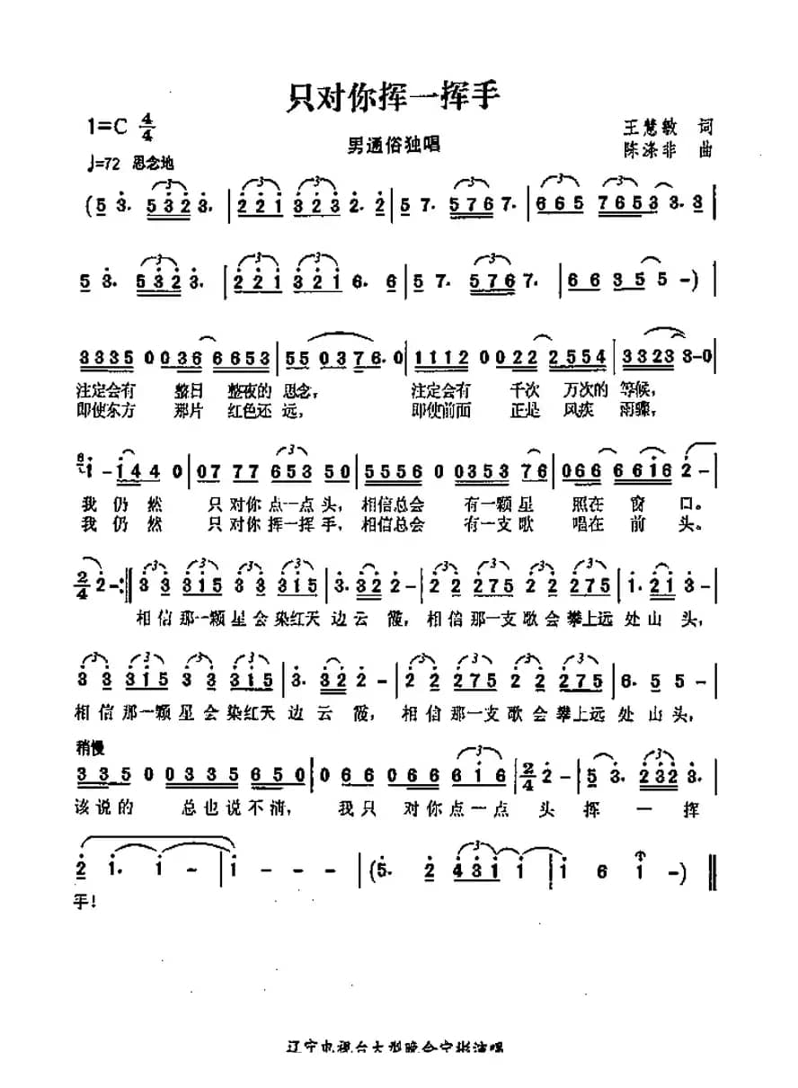 只对你挥一挥手