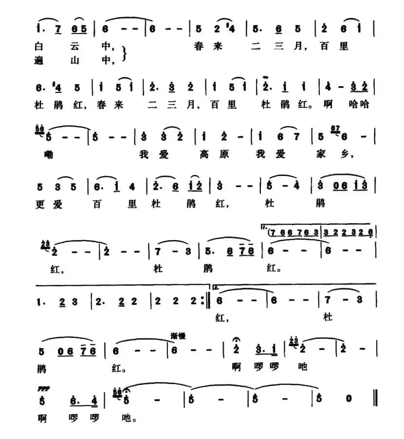 我爱家乡红杜鹃