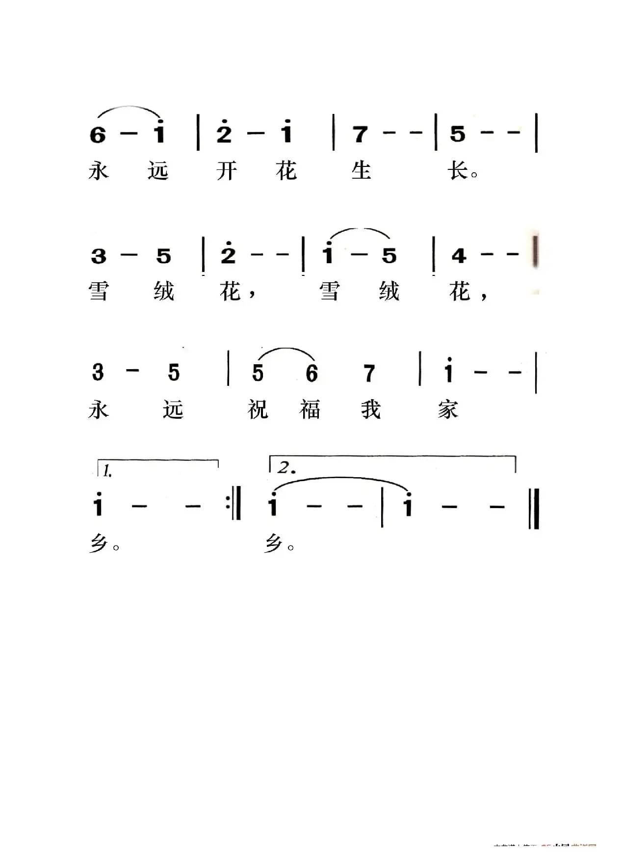 雪绒花（老人适用）