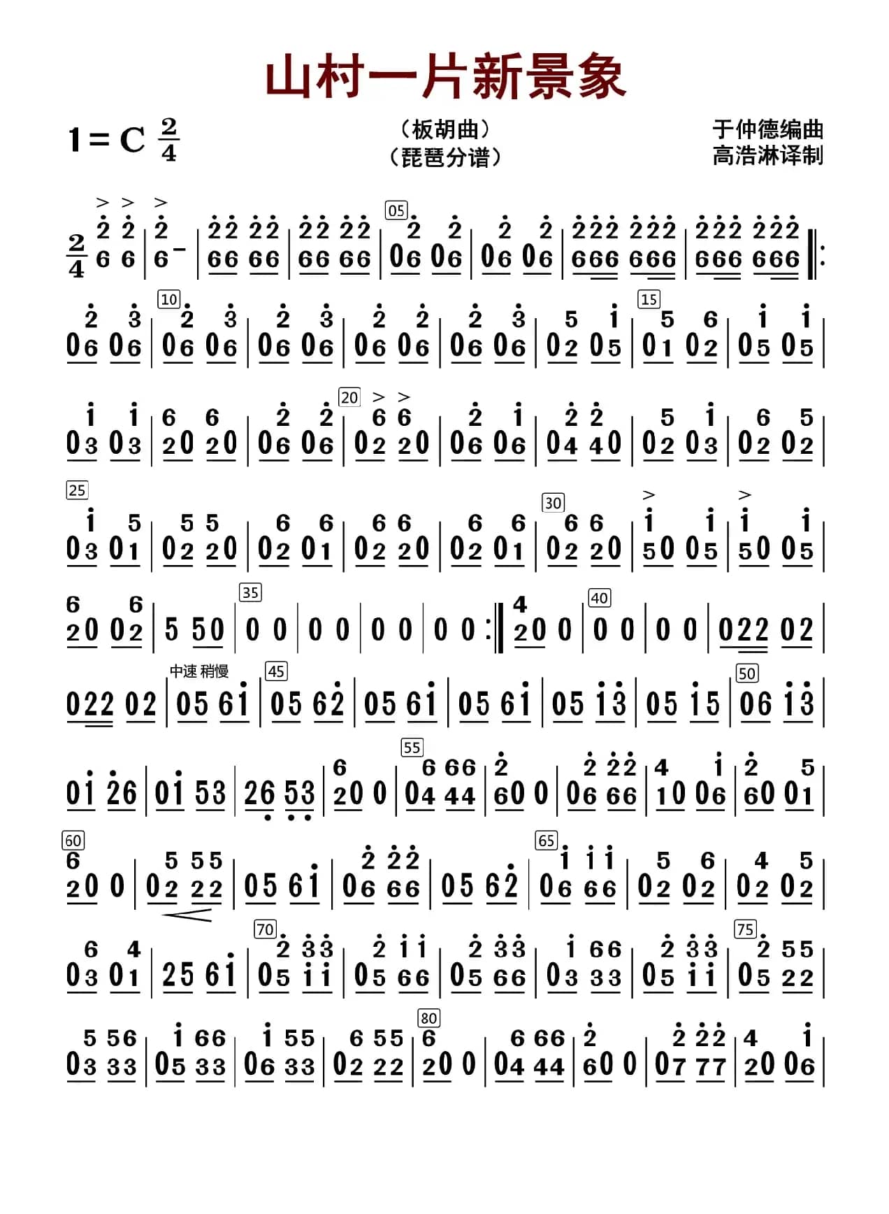 山村一片新景象（琵琶分谱）