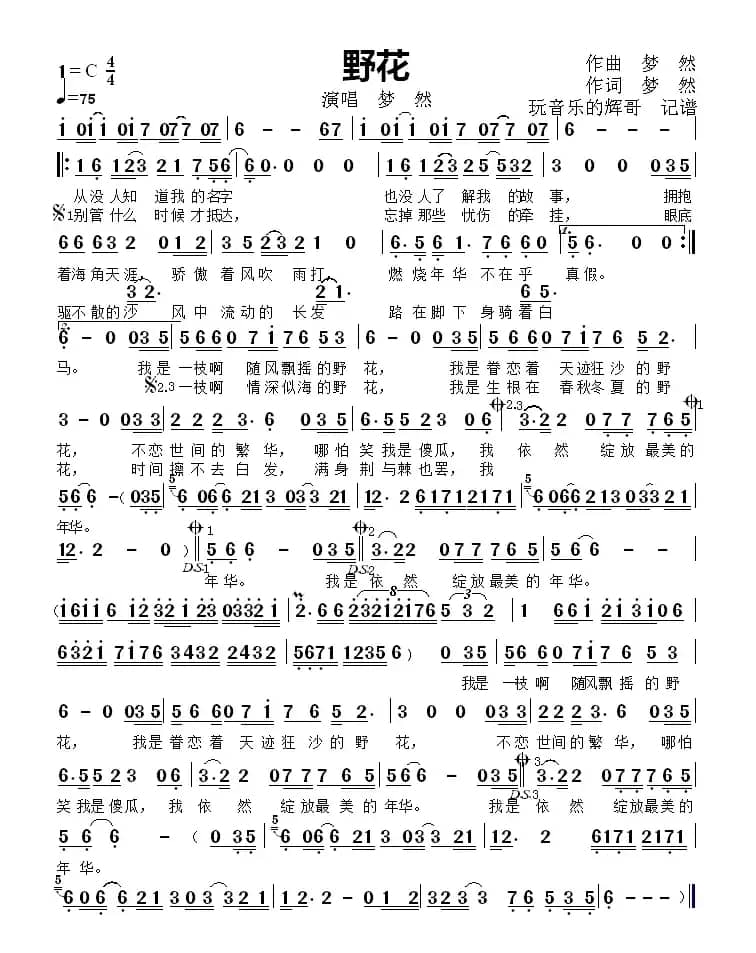 野花（演唱  梦  然）