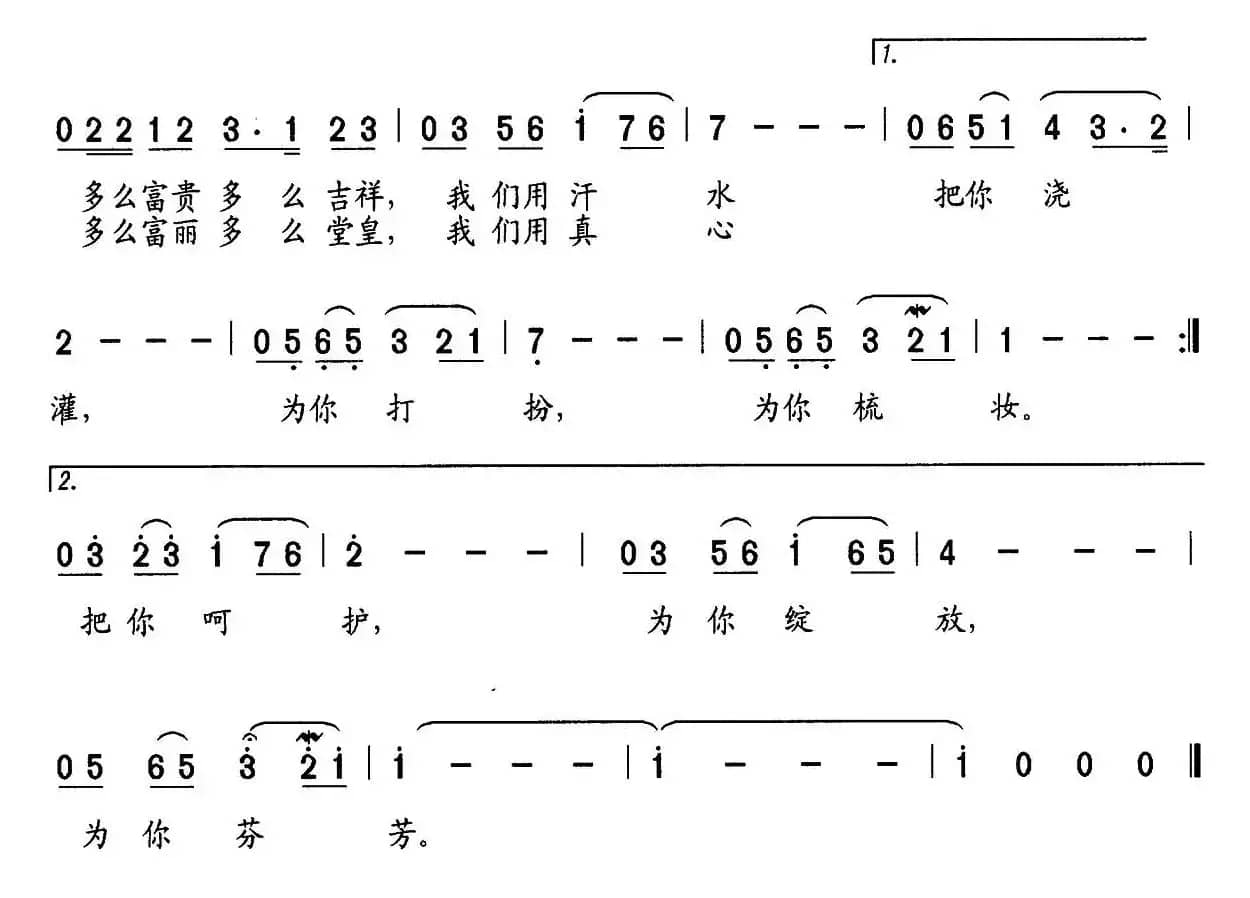 红杜鹃盛开的地方