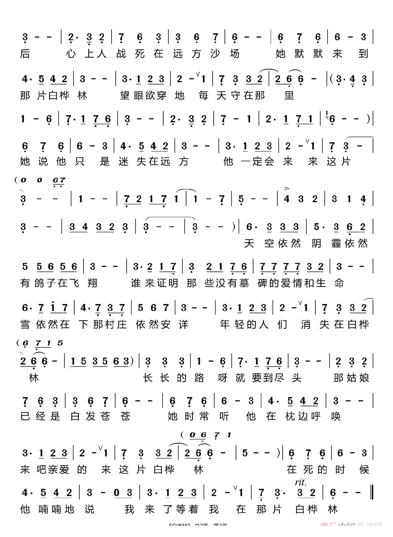 白桦林（王彦霖）