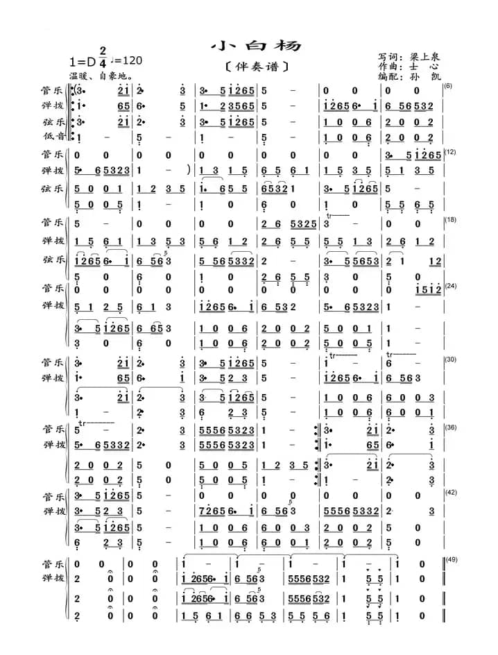 小白杨（伴奏谱）