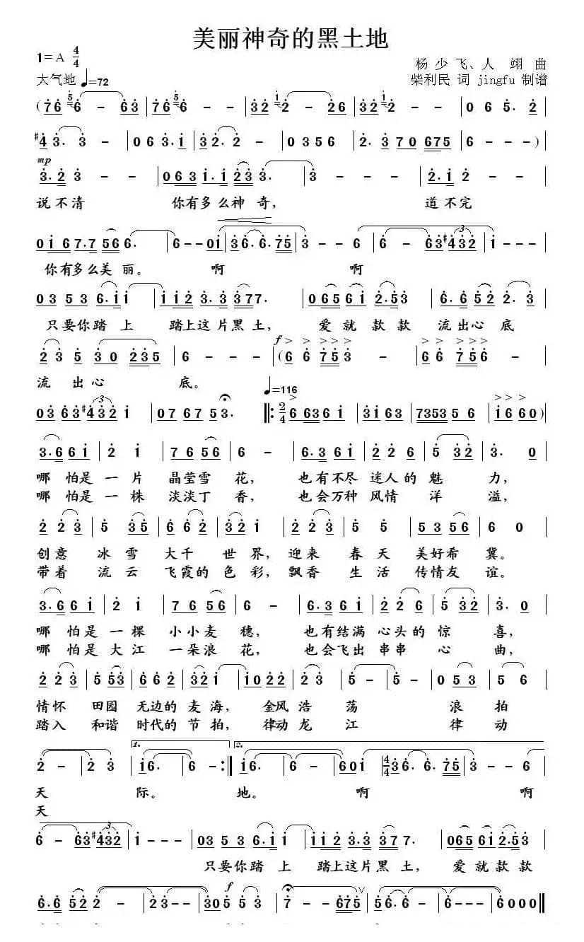 美丽神奇的黒土地