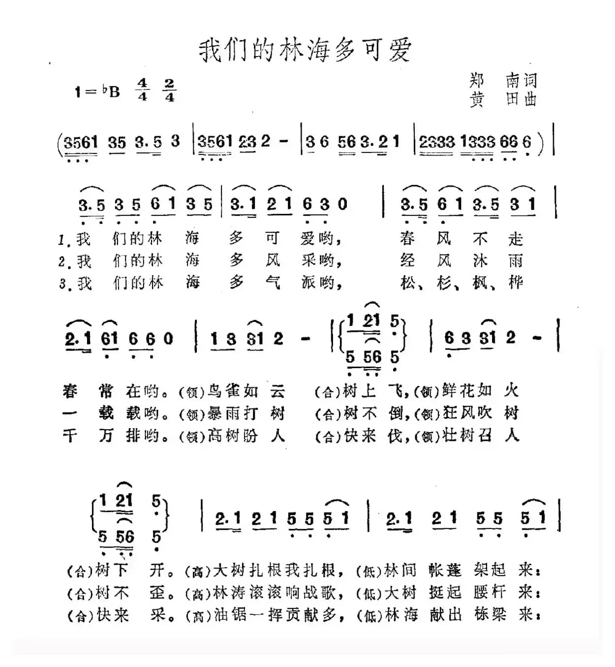 我们的林海多可爱