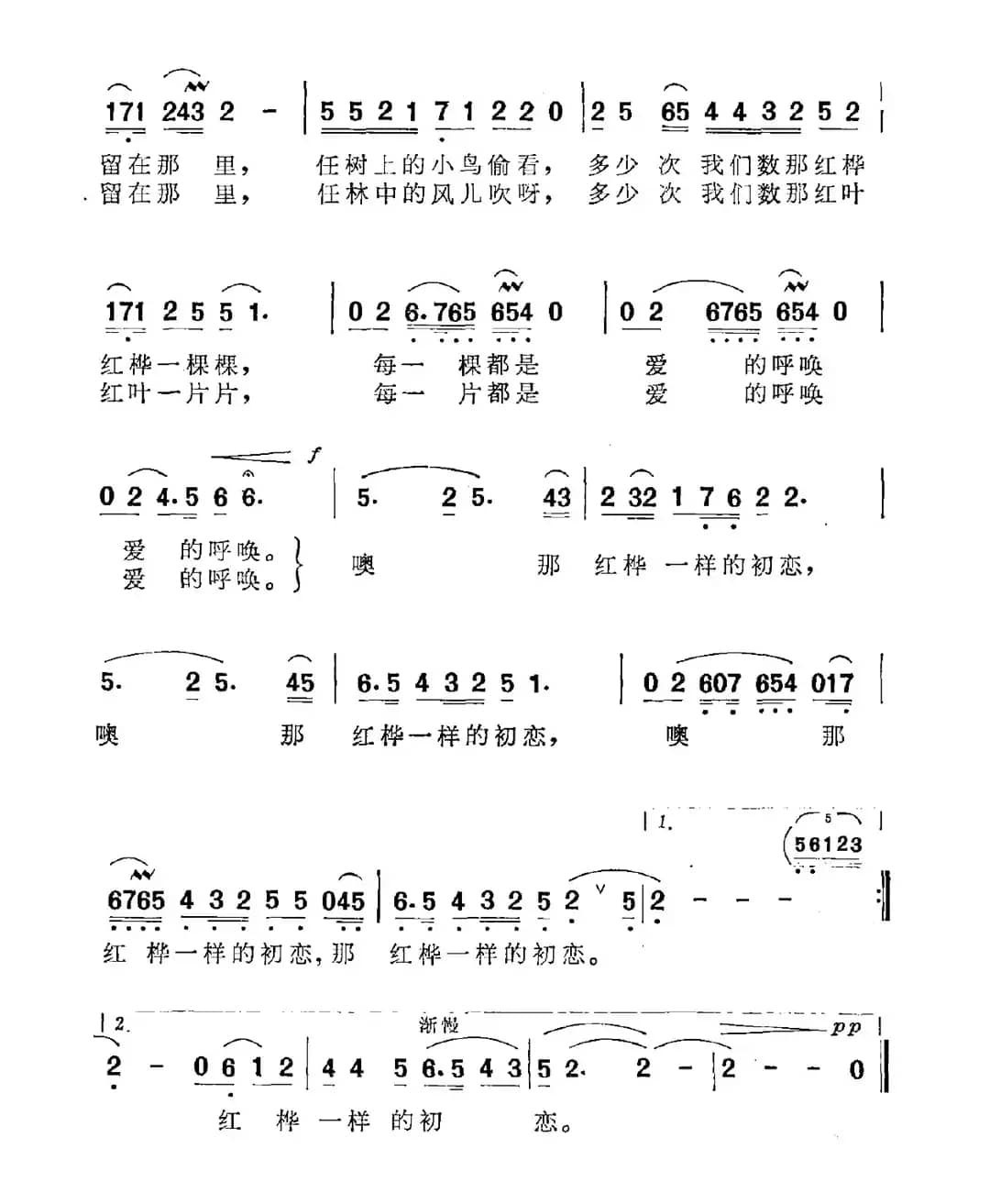 红桦一样的初恋