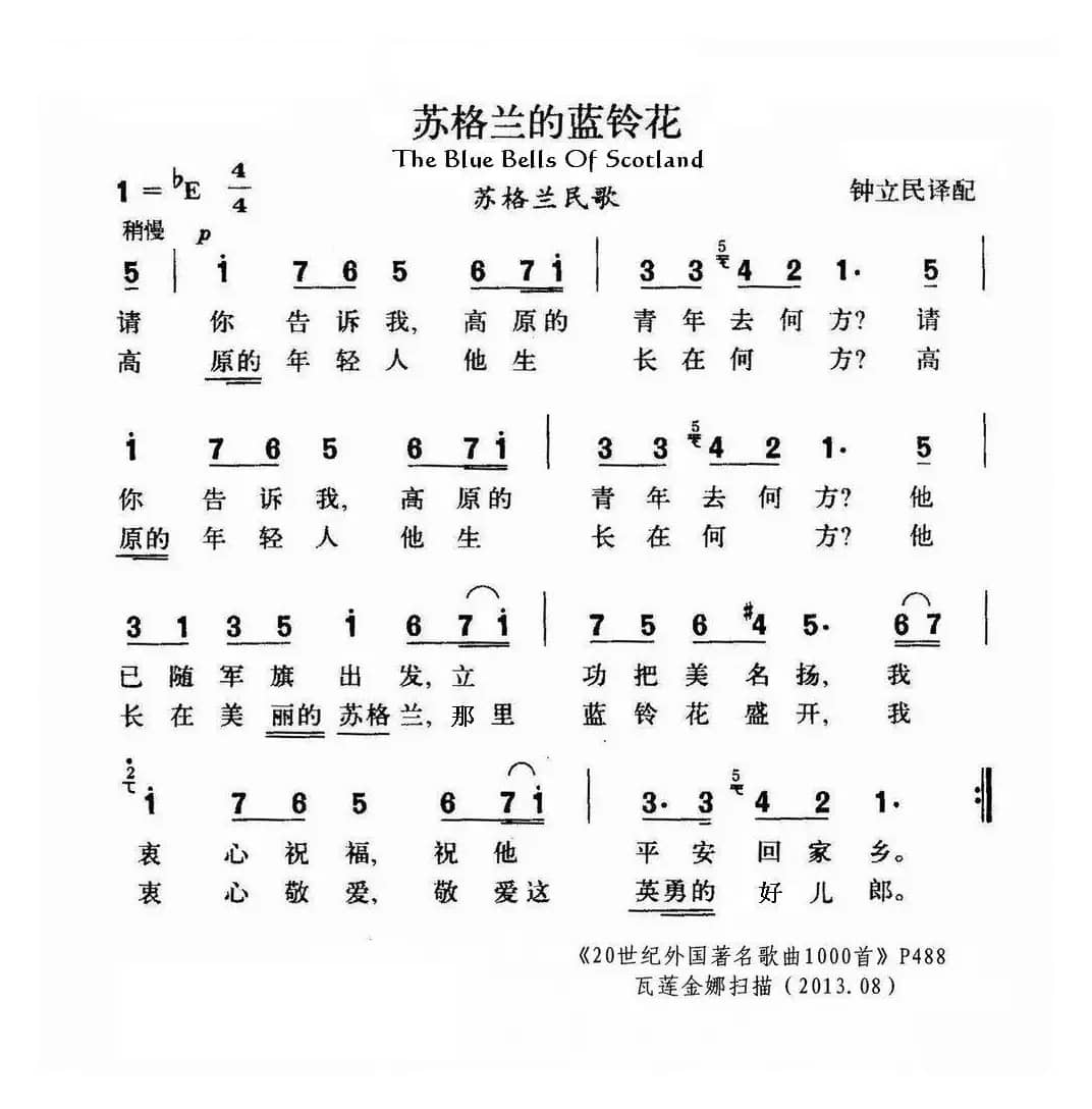 苏格兰的蓝铃花