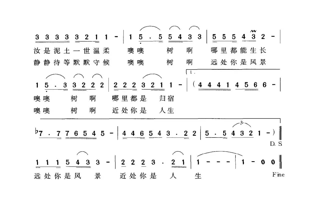 树之恋