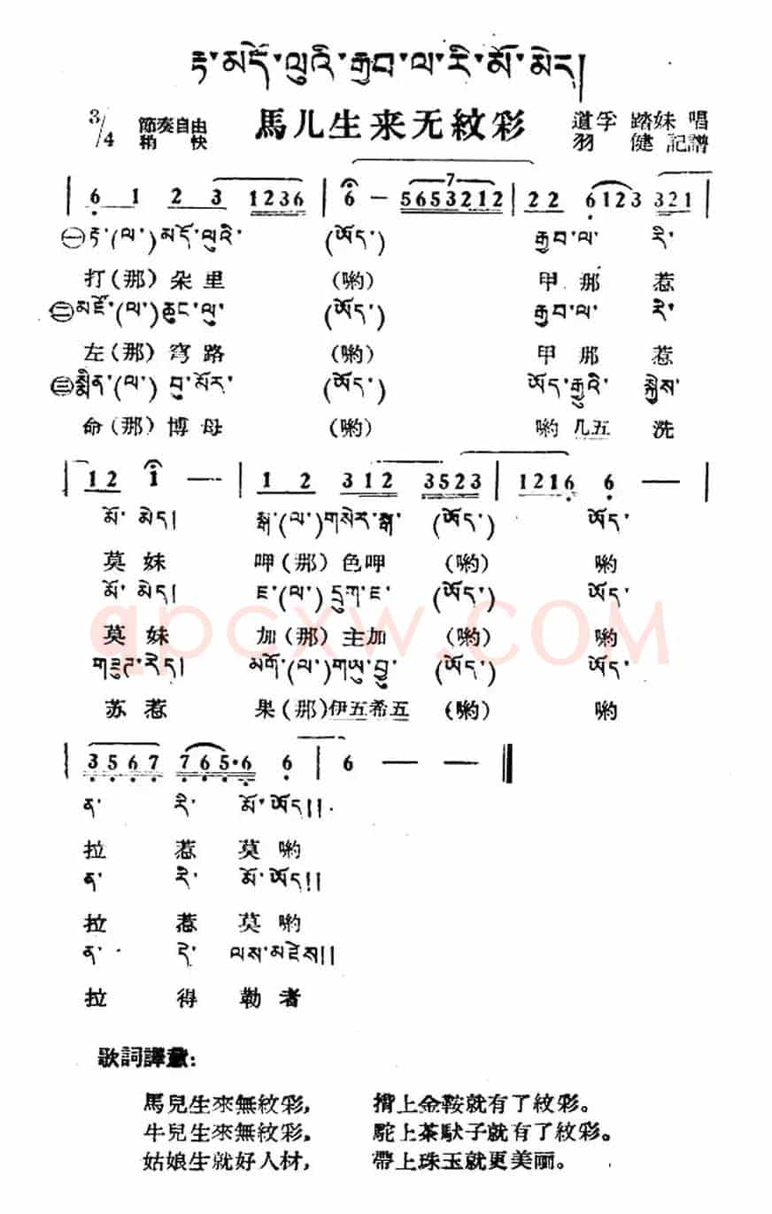 马儿生来无纹彩（藏族民歌、藏文及音译版）