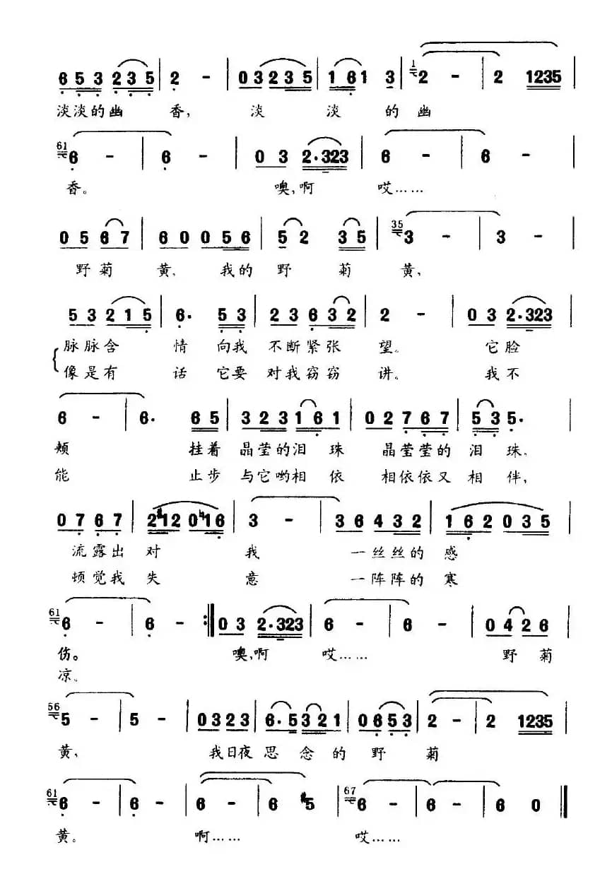 野菊黄（志同词 晓光曲）