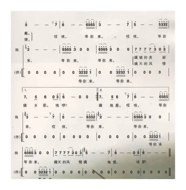 等你来（张藜词 徐沛东曲）