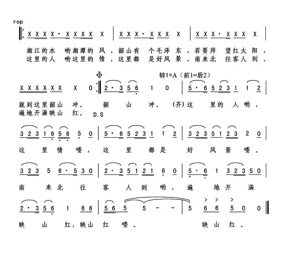 遍地开满映山红
