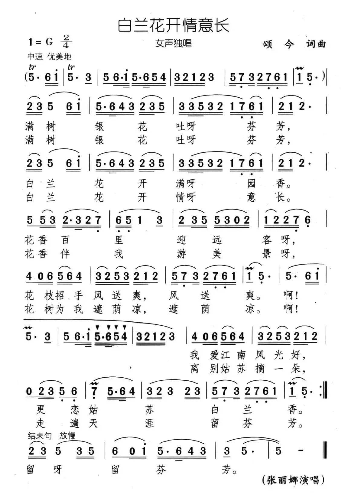 玉兰花开情意长（又名：白玉兰情意长）