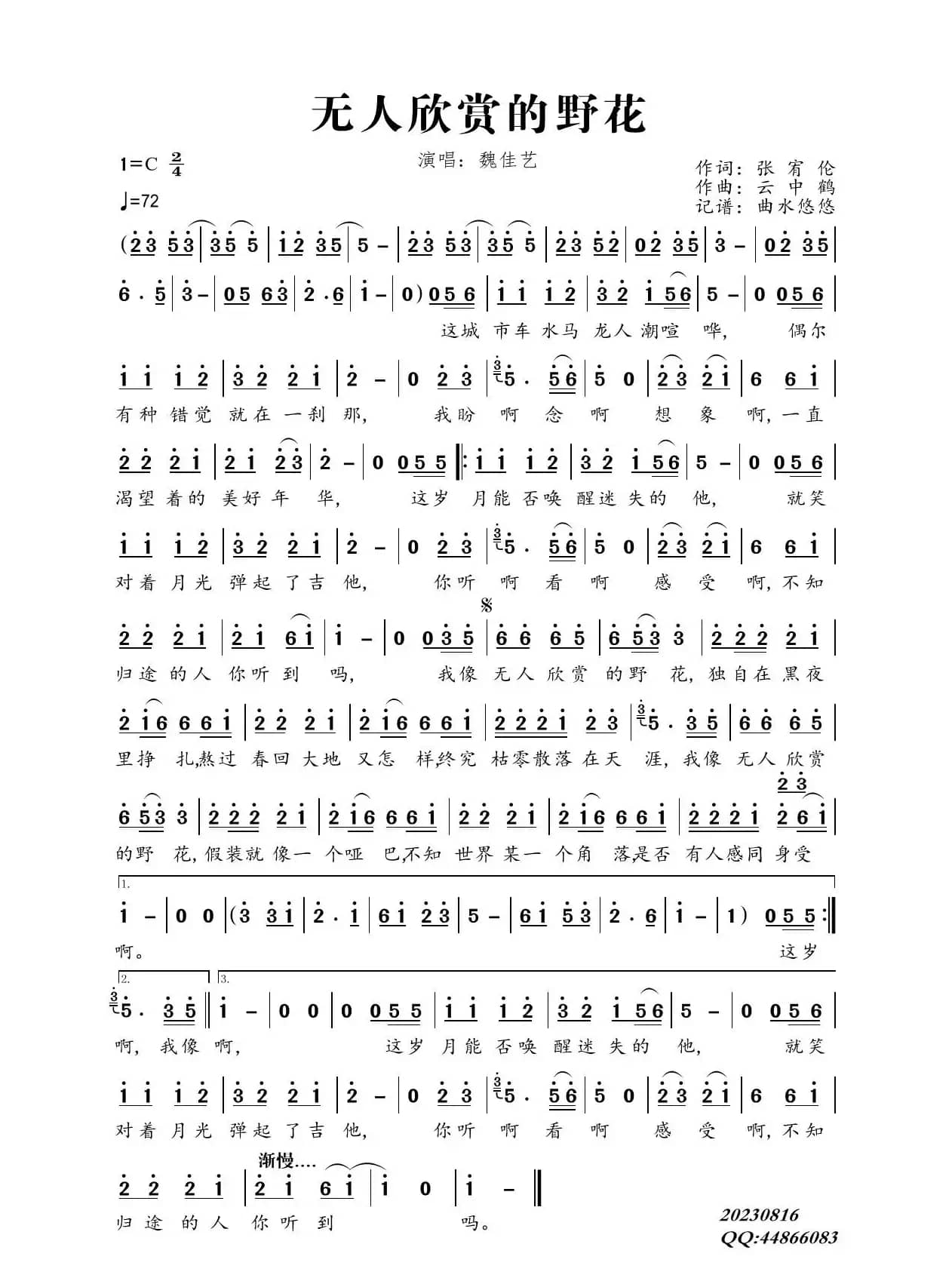 无人欣赏的野花