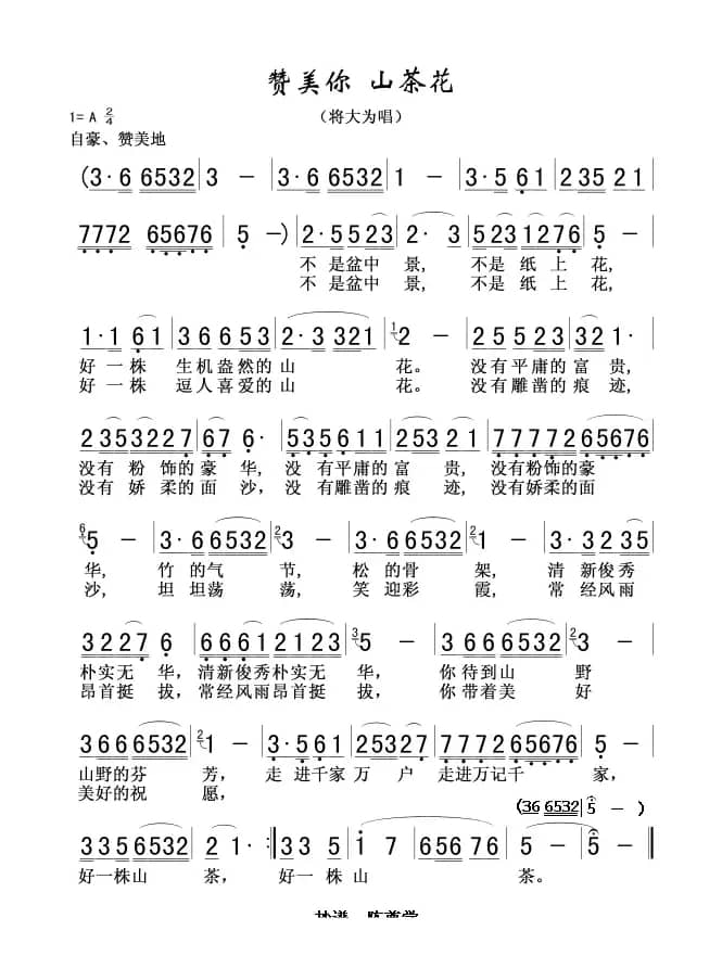 赞美你 山茶花(又名:赞美你山茶)