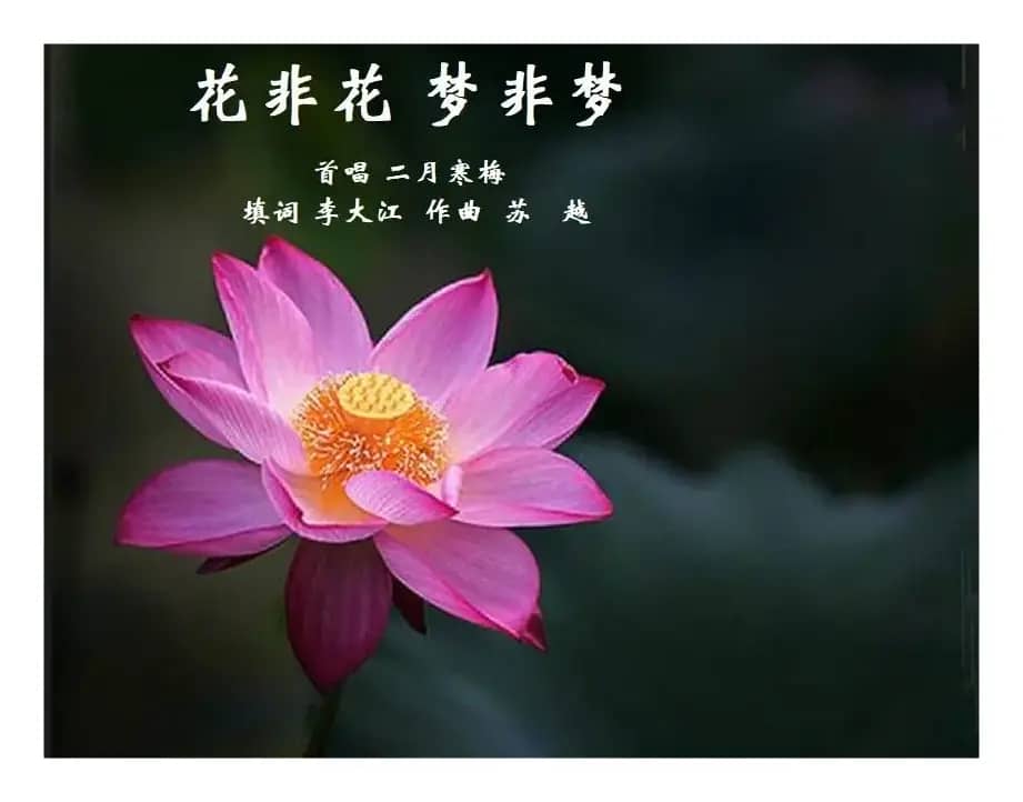 花非花梦非梦(填词)