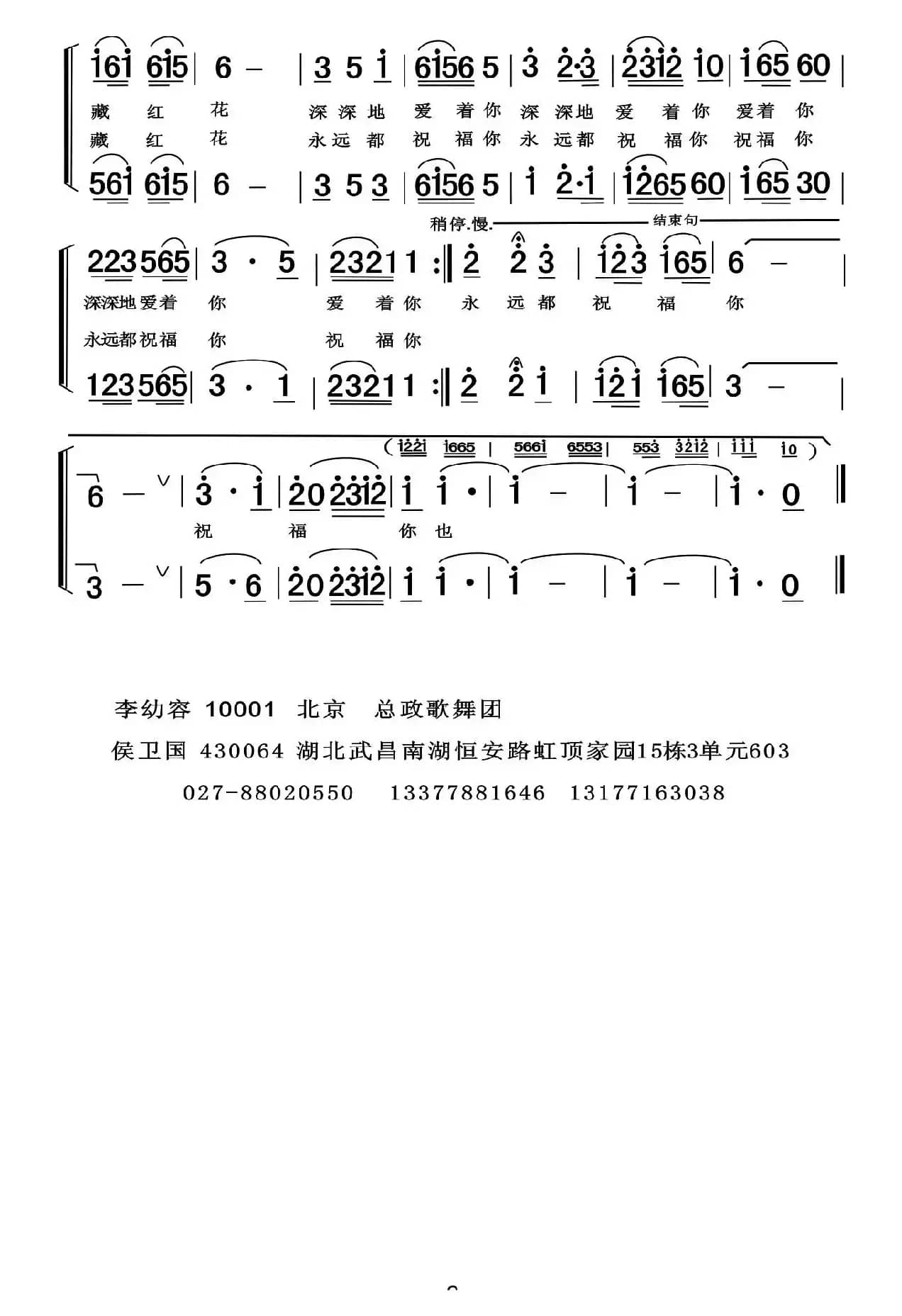 藏红花说我爱你（男女声二重唱）