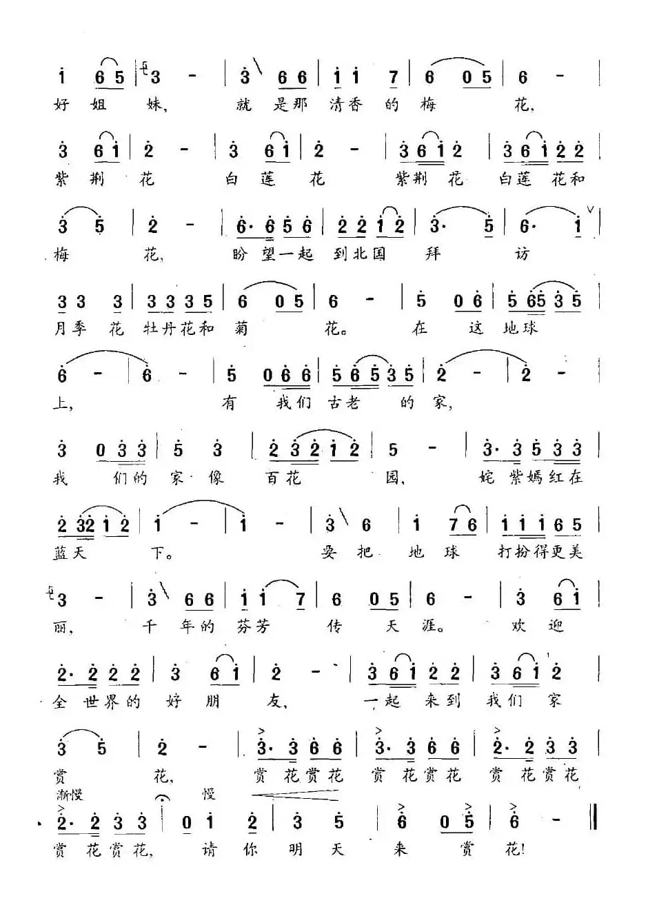 请你明天来赏花