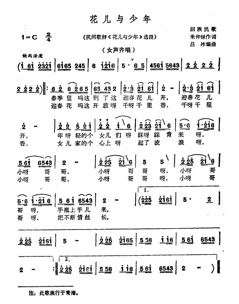 花儿与少年（民间歌舞《花儿与少年》选段）