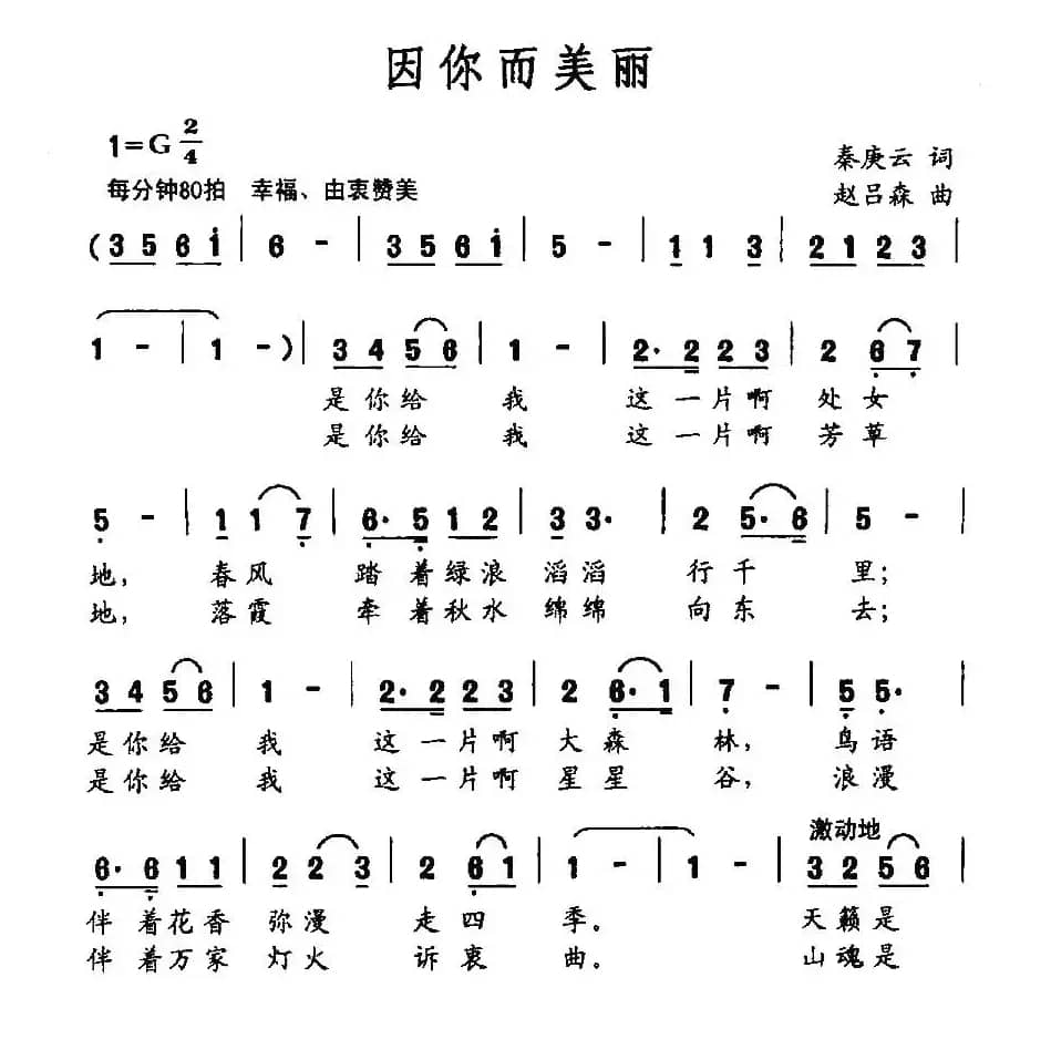 因你而美丽（秦庚云词 赵吕森曲）