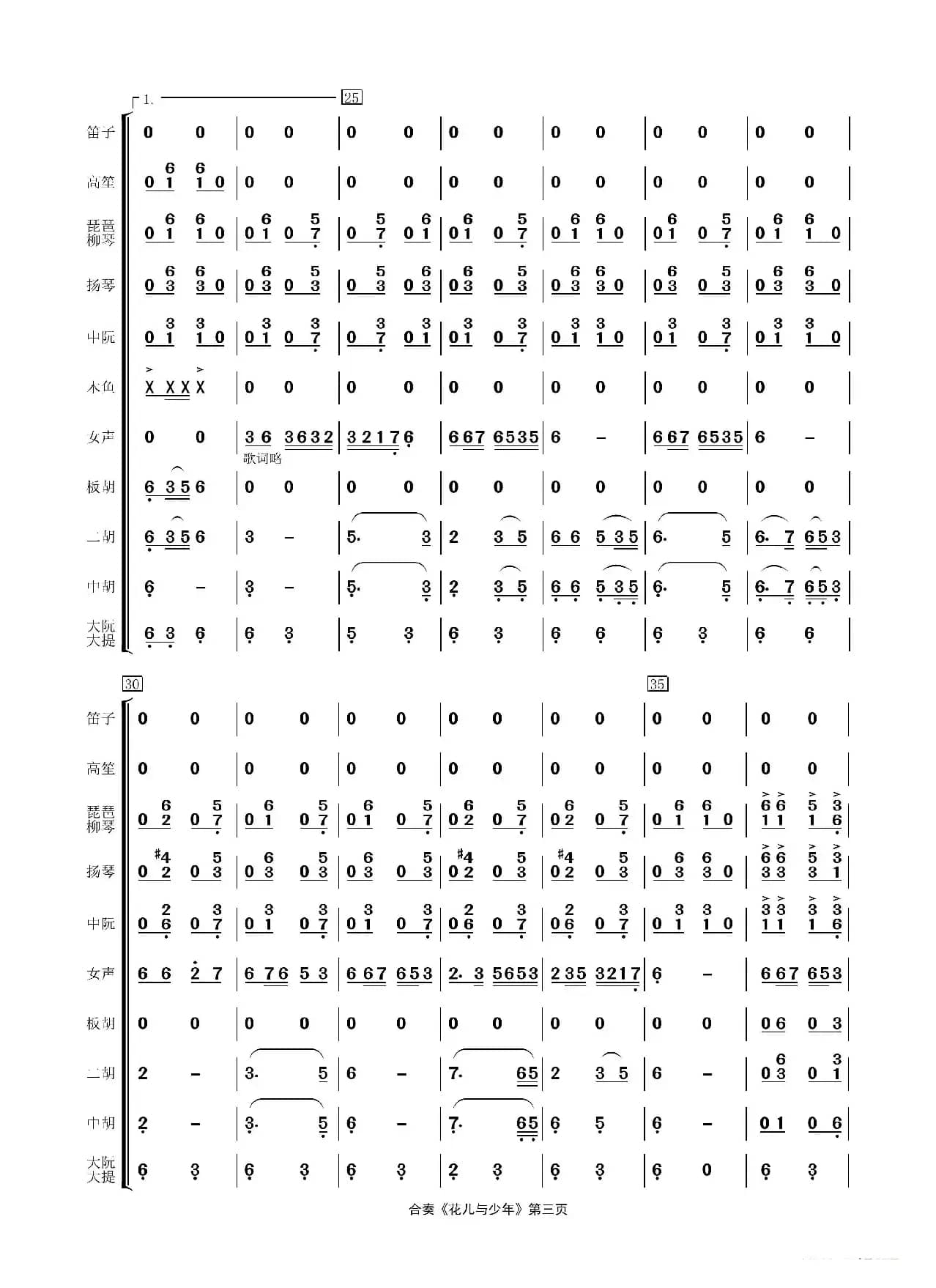 花儿与少年（民乐合奏）