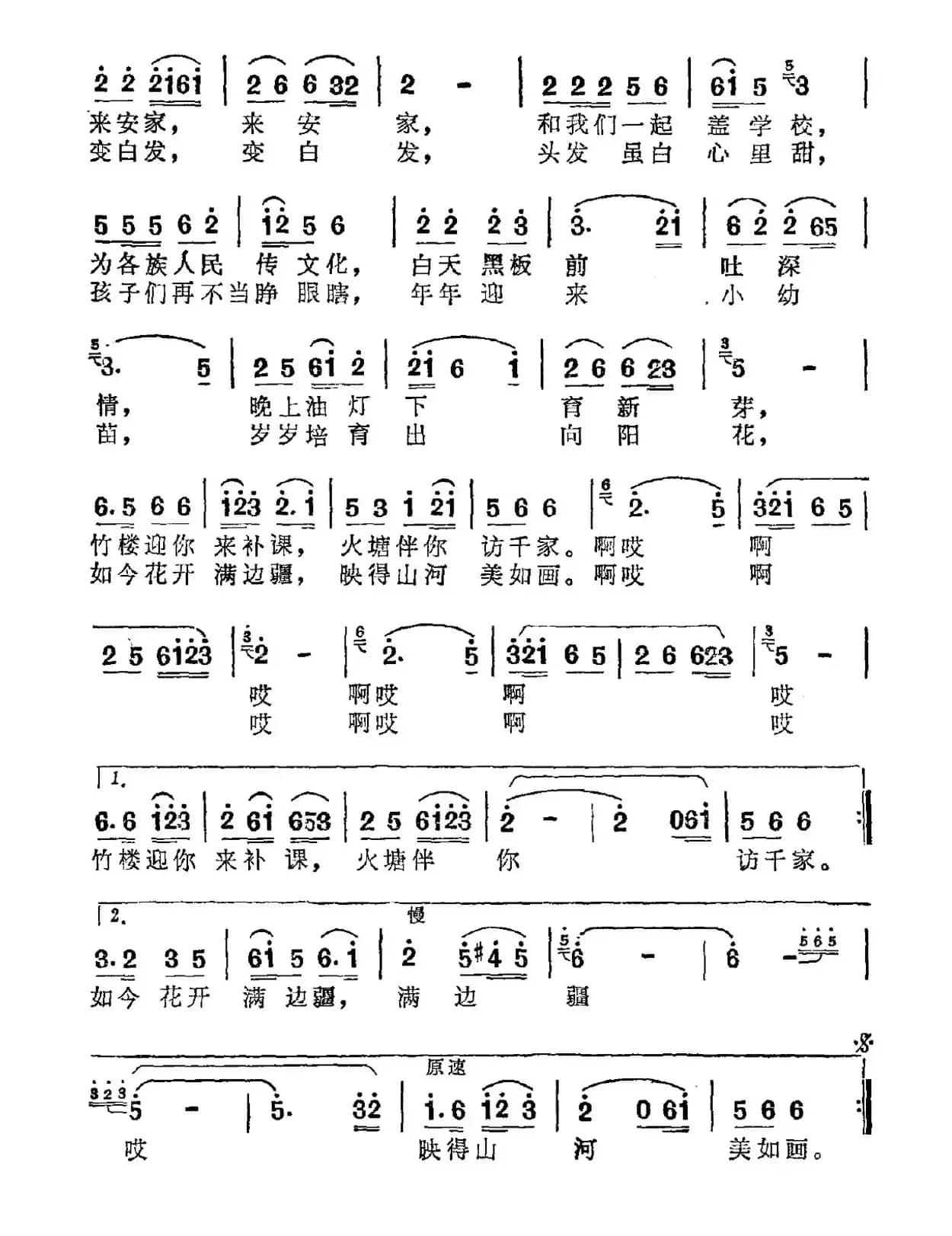 凤凰树花开映彩霞