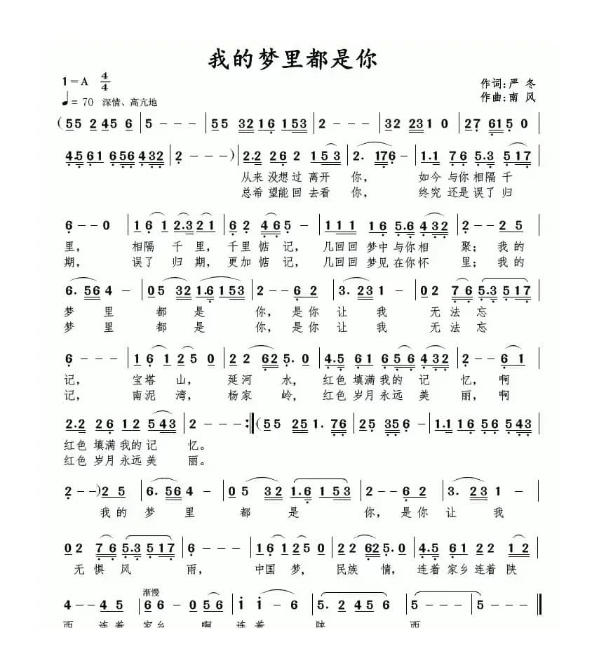 我的梦里都是你