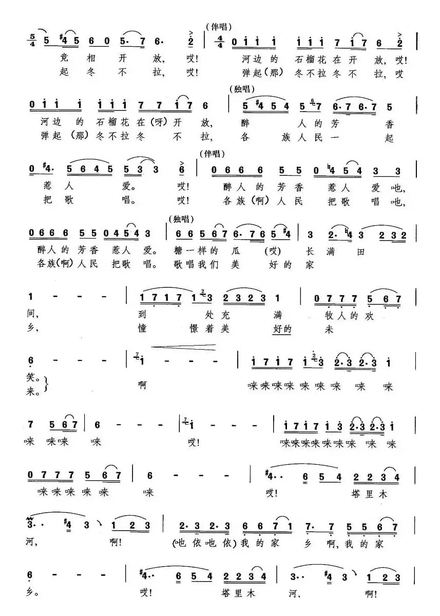 塔里木河（张平生词曲）