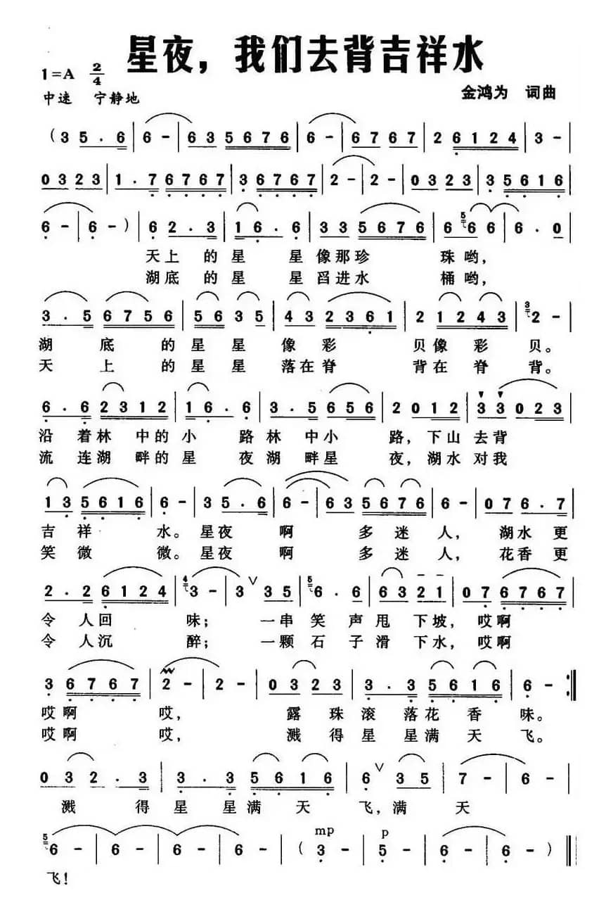 星夜,我们去背吉祥水(金鸿为词曲)