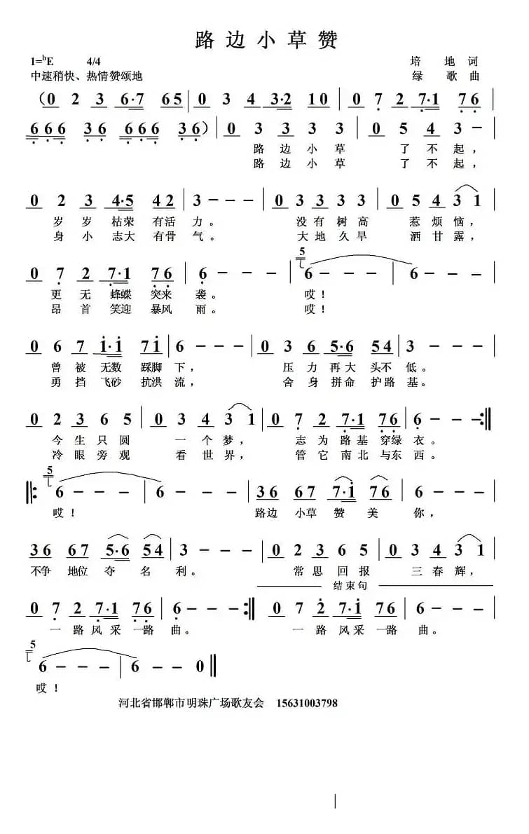 路边小草赞