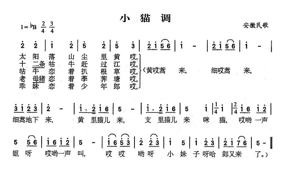 小猫调