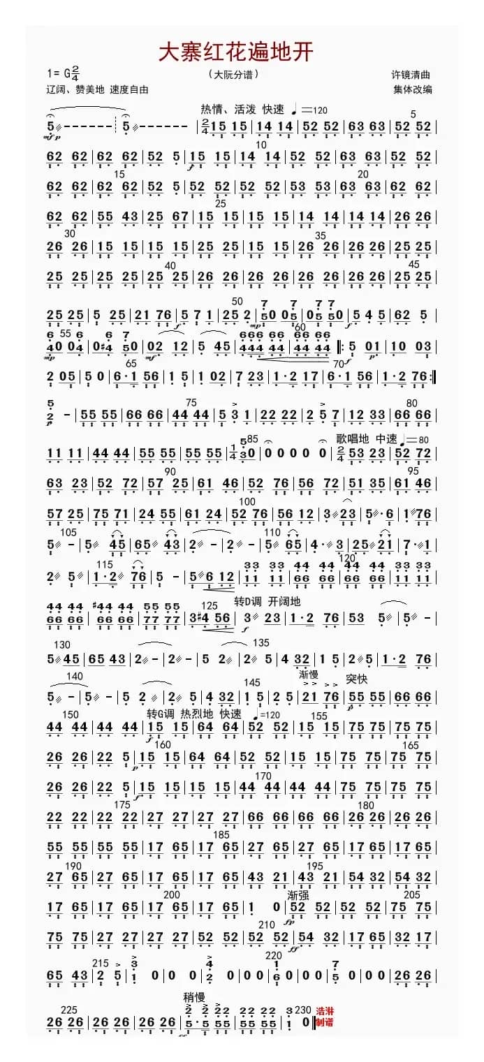 大寨红花遍地开（大阮分谱）