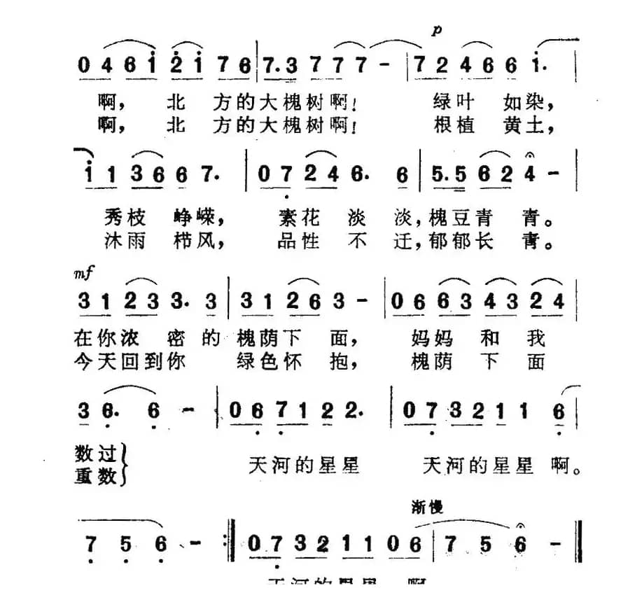 北方的大槐树（黎琦词 赵季平曲）