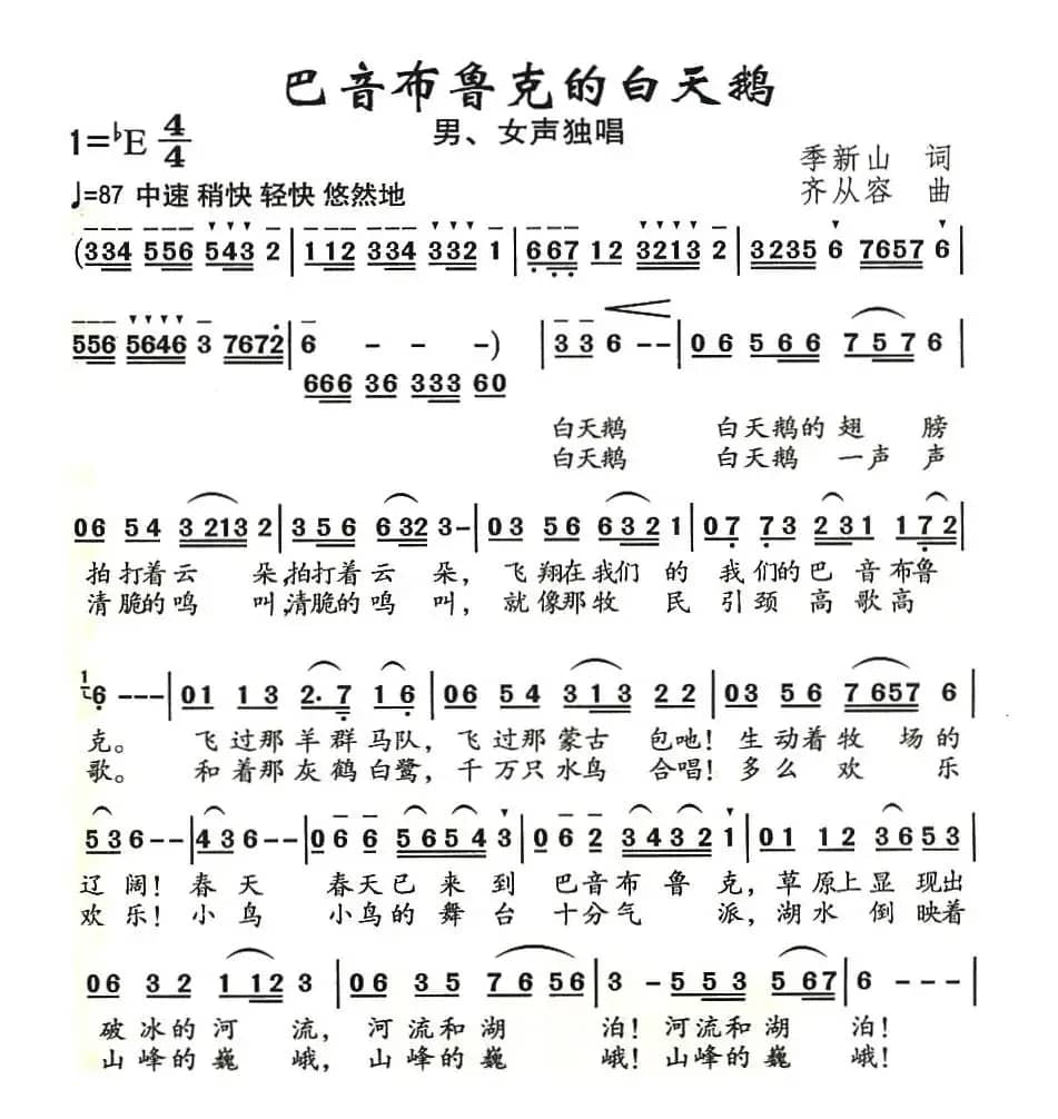 巴音布鲁克的白天鹅