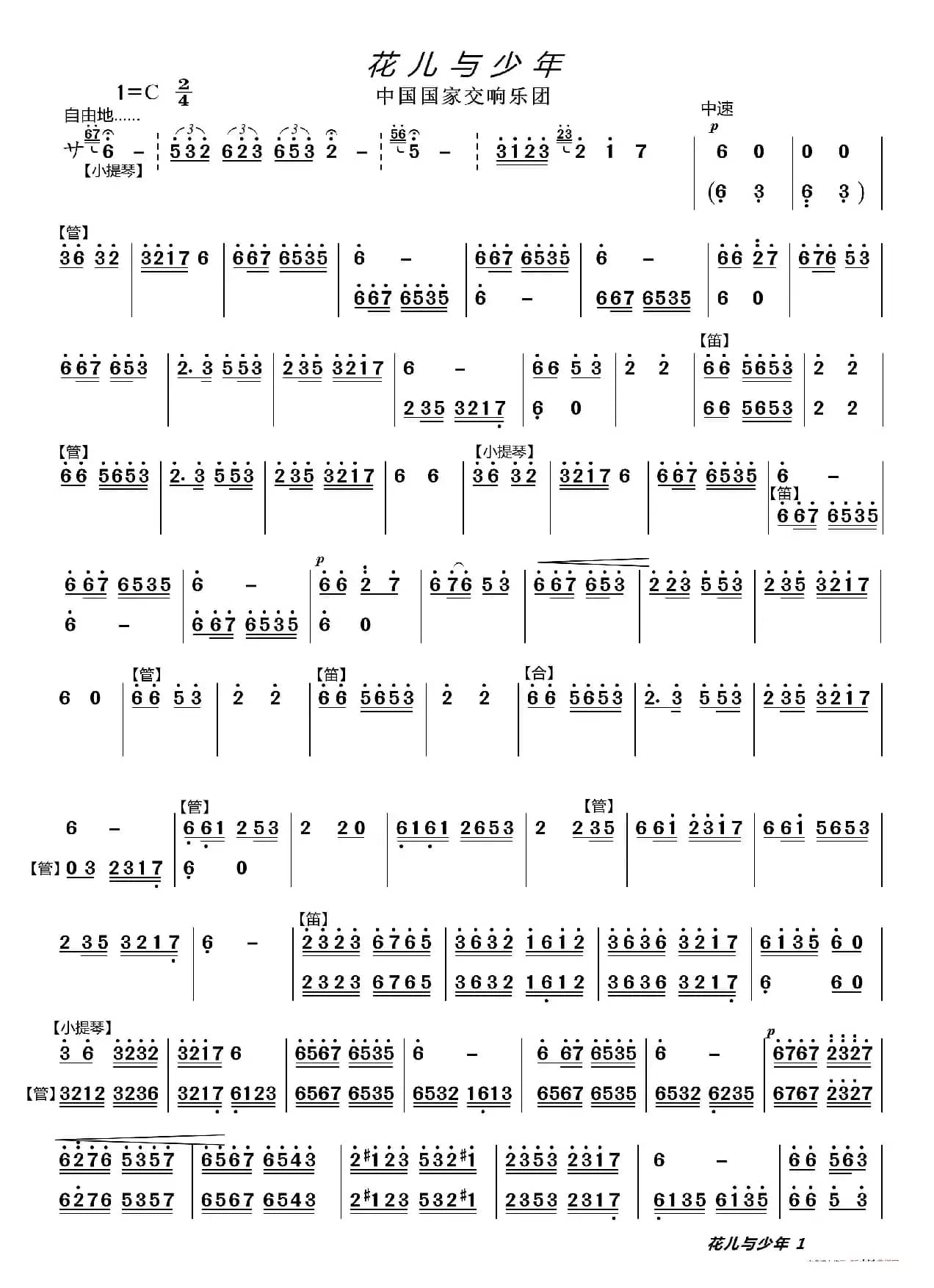 花儿与少年（器乐合奏主旋律谱）