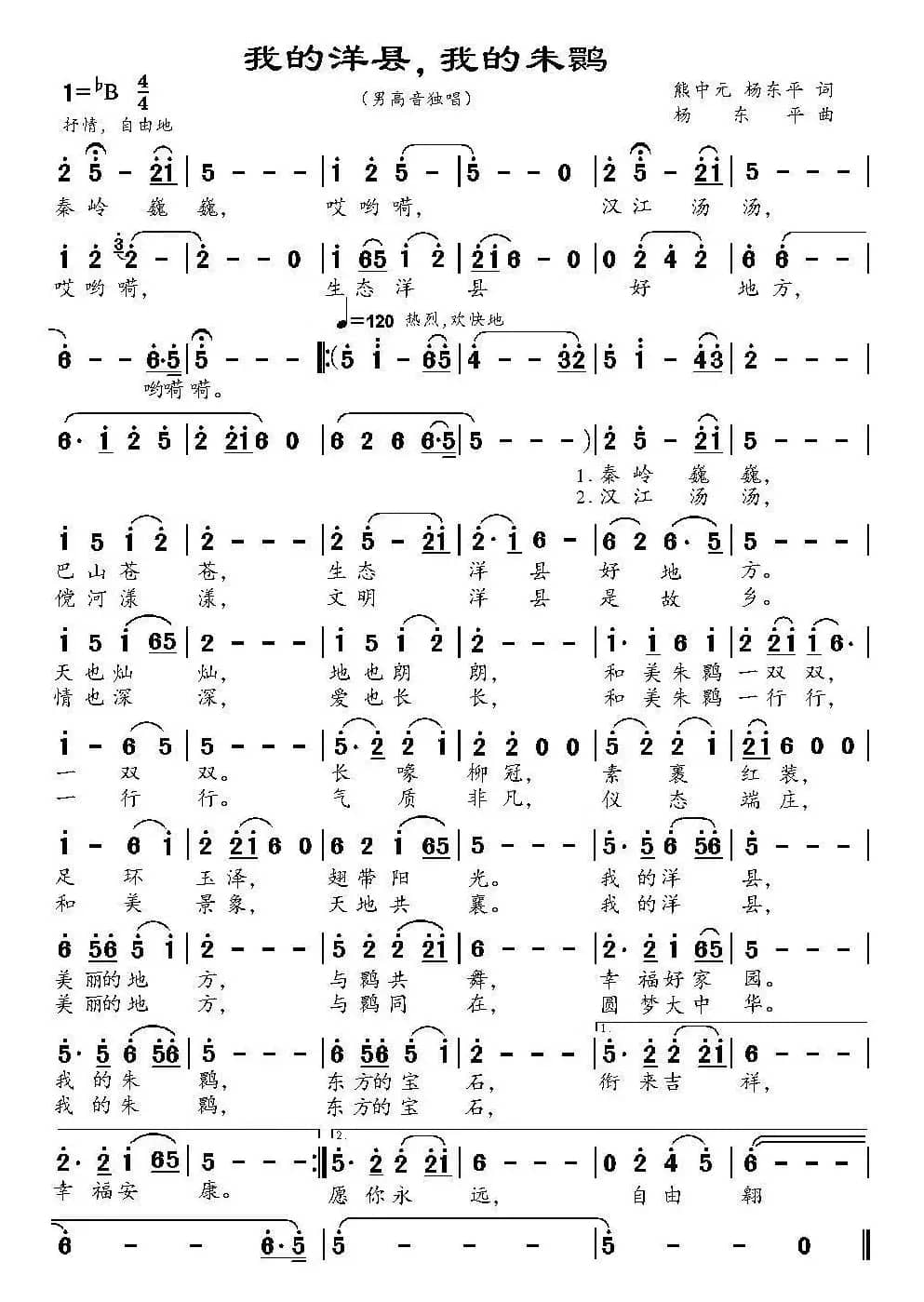 我的洋县，我的朱鹮