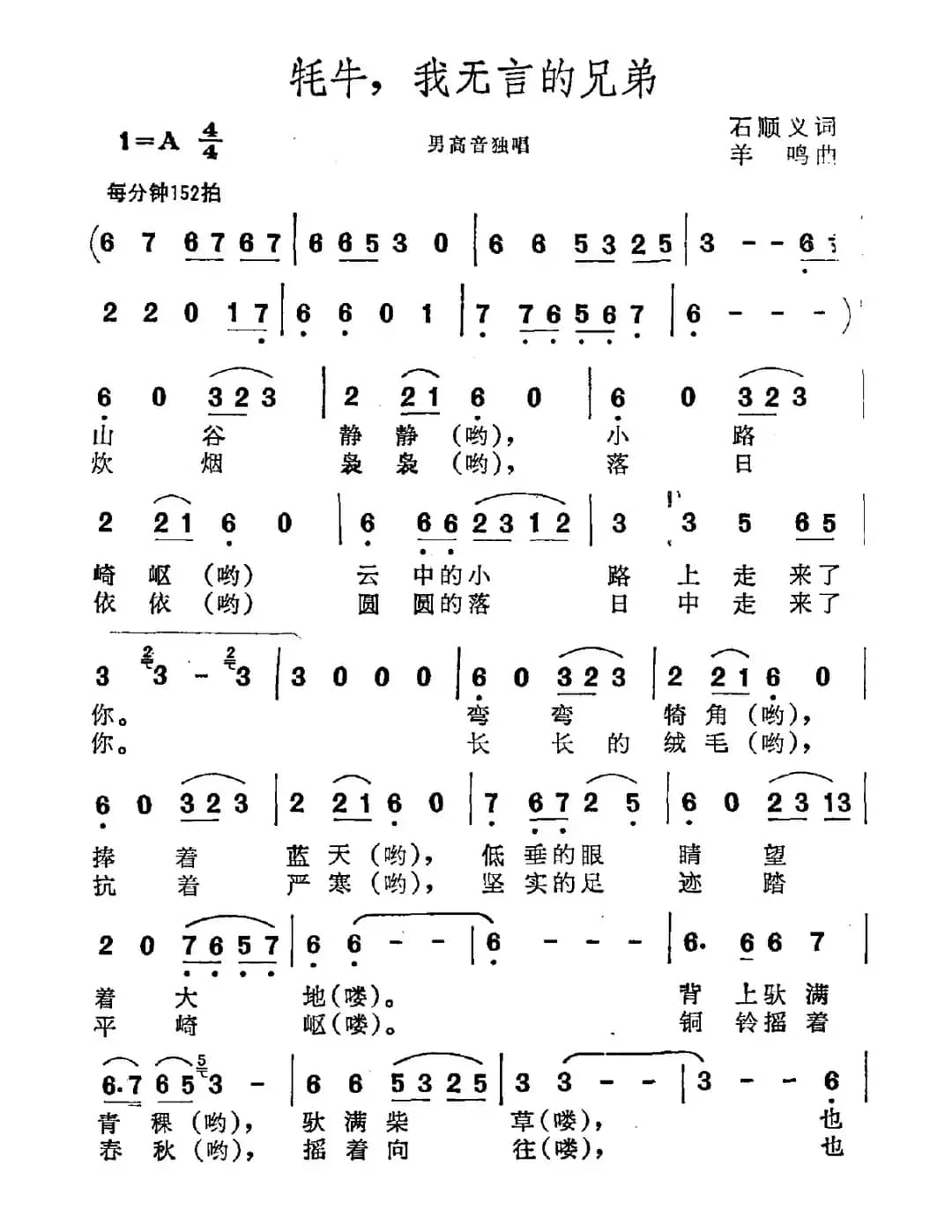 牦牛，我无言的兄弟