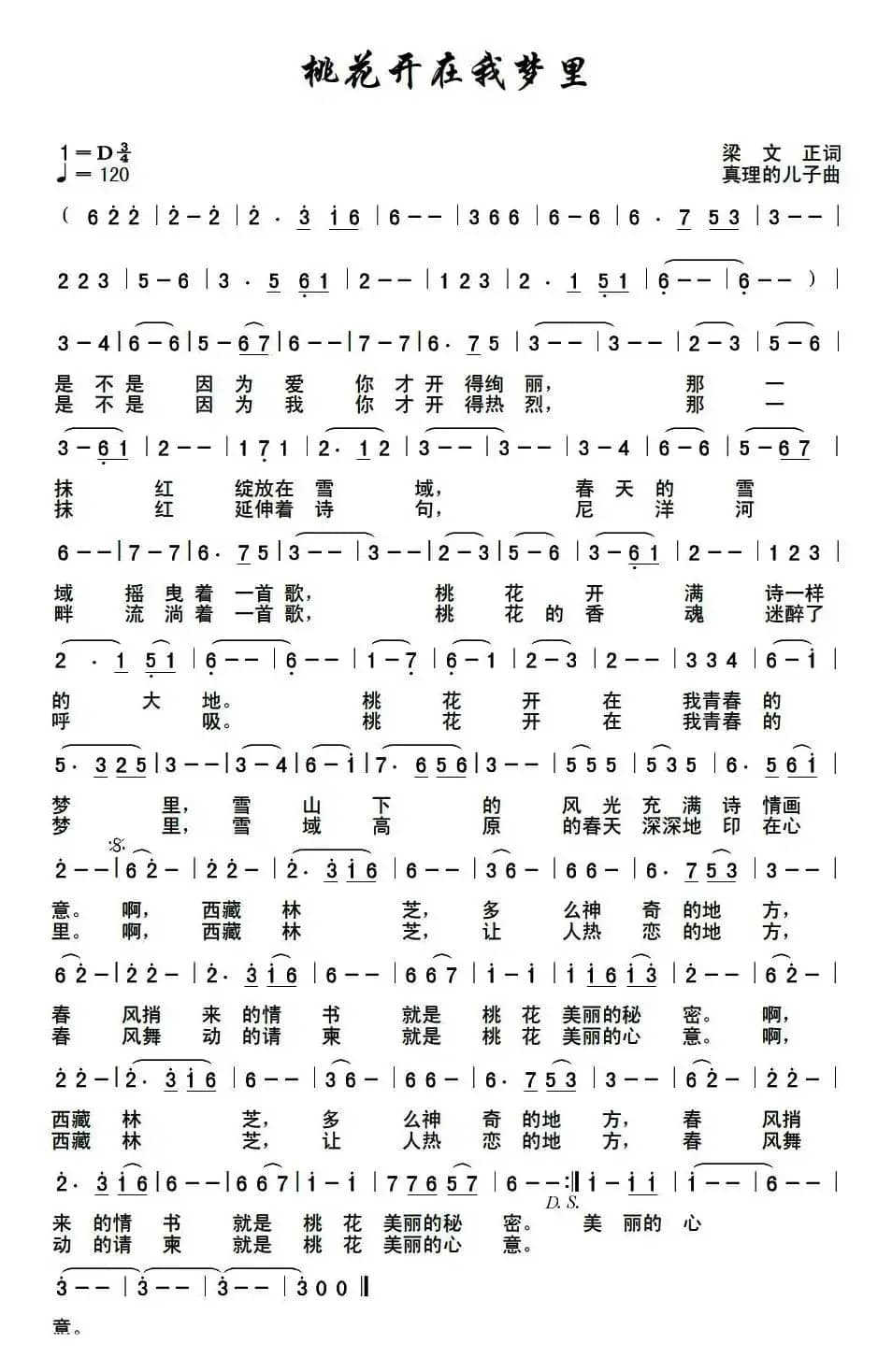 桃花开在我梦里（梁文正词 真理的儿子曲）