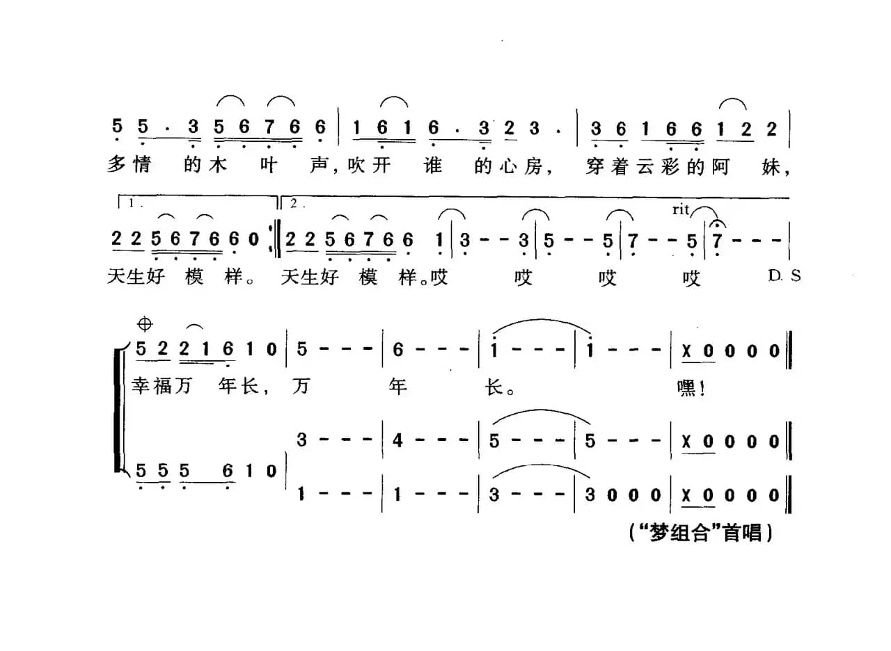 幸福山寨（向远词 符玮曲）